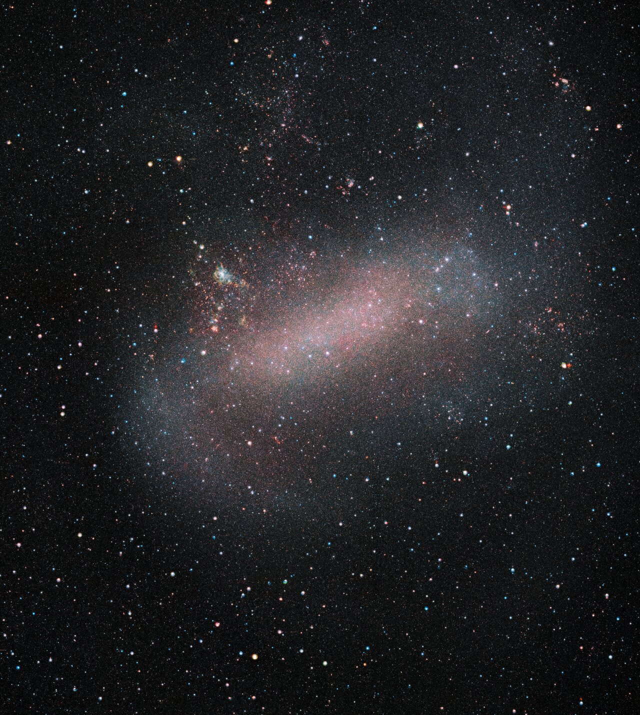 The Large Magellanic Cloud